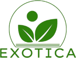 Exotica logo